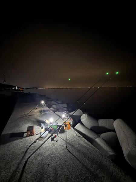 花見カレイ狙い