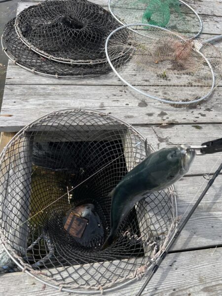 釣り堀水宝🎣