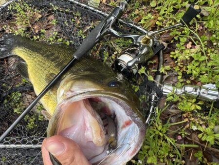 プリスポーンはミドスト‼️