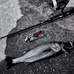 悶絶からの解放