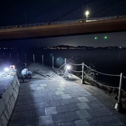 初シーズン、キス釣り🎣