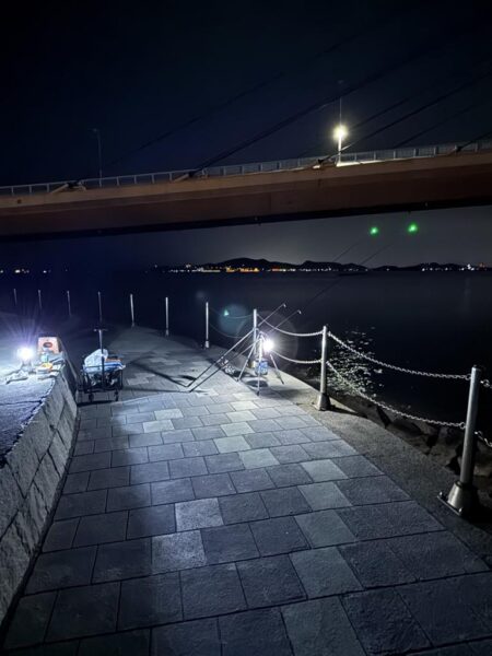 初シーズン、キス釣り🎣