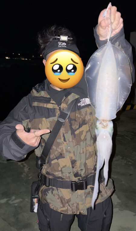 ナイトエギング