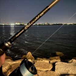 淀川ブリームゲーム