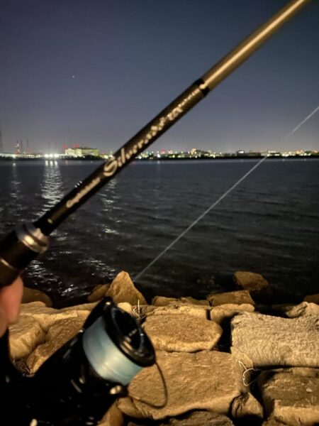 淀川ブリームゲーム