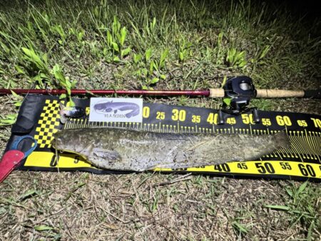 ナイトゲームのナマズ