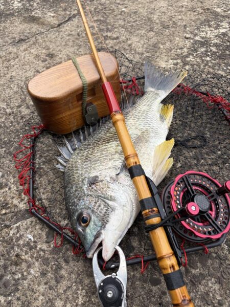 ヘチって来ました