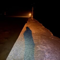 ようやくアジ見つかった