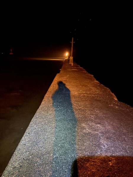 ようやくアジ見つかった