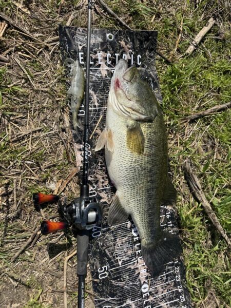 淀川ビッグバス！