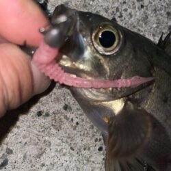 爆風の中ライトゲーム