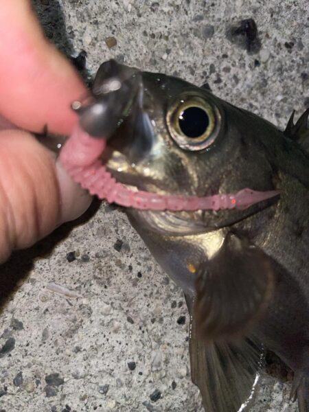 爆風の中ライトゲーム