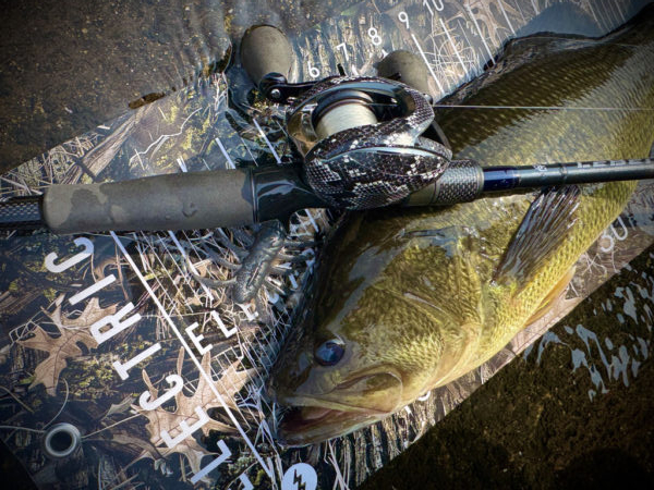 BOFU55のフリーリグがアツい！