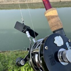 仕事帰りのナマズ釣り