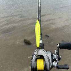 1年以上ぶりのトップ！