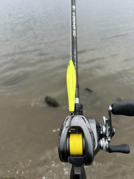 1年以上ぶりのトップ！