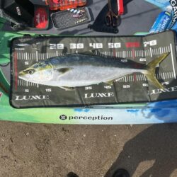 supフィッシング