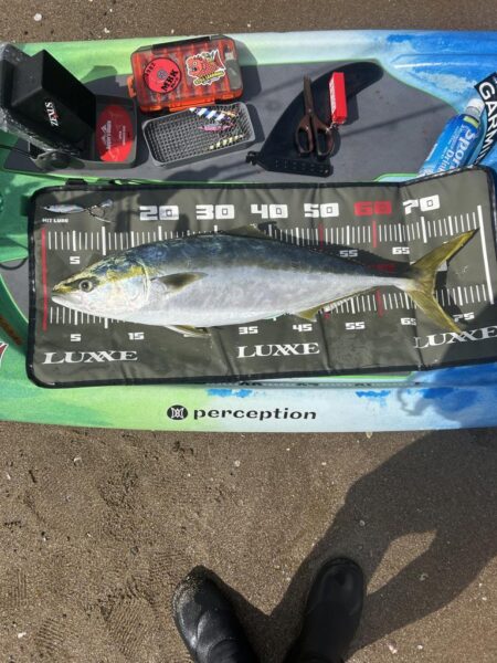 supフィッシング