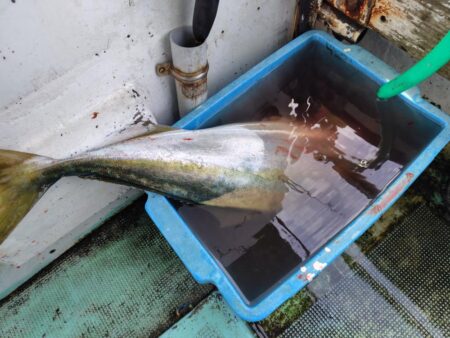 淡路島西側ジギング