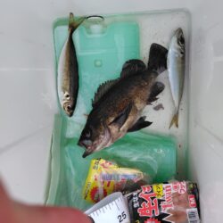 久しぶりの須磨