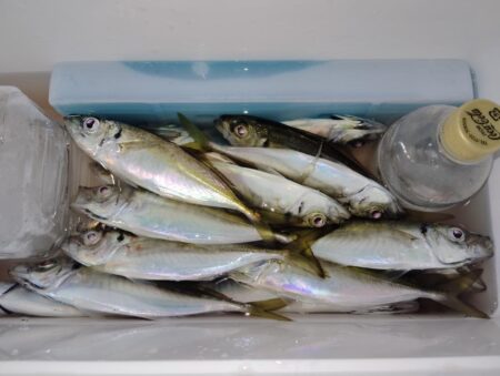 場所も違えば様子も違い