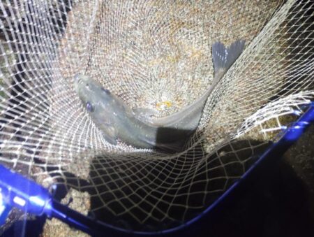 超久々に合格サイズ