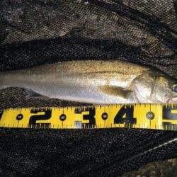 20:10からスイッチOFF⋯