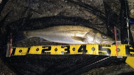 20:10からスイッチOFF⋯