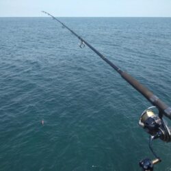 今年度初ロックショア