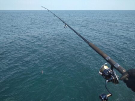 今年度初ロックショア