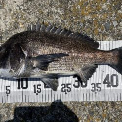 イチノ兄弟、釣果！