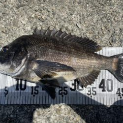 イチノ兄弟、釣果！