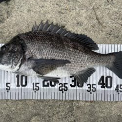 イチノ兄弟、釣果！