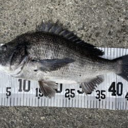 イチノ兄弟、釣果！