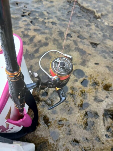 和歌山市江（吉丸渡船）でグレ釣り