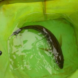 完全フカセ第1戦〜倉丸〜