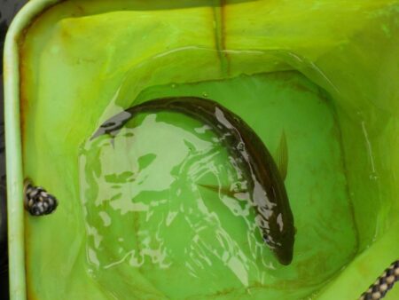 完全フカセ第1戦〜倉丸〜