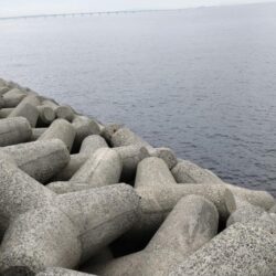 やっと回遊‼人工島の波止グレ