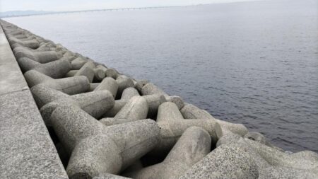 やっと回遊‼人工島の波止グレ