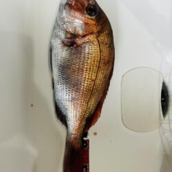 丹後でディープタイラバ