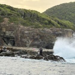 和歌山市江（吉丸渡船）でグレ釣り