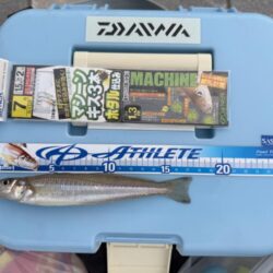 初シーズン、キス釣り🎣