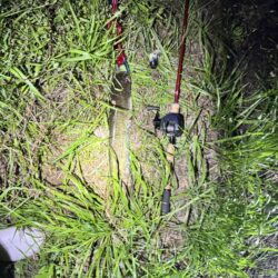 夜のナマズ釣り