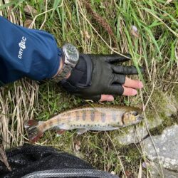 晴天無しでも釣果爆発