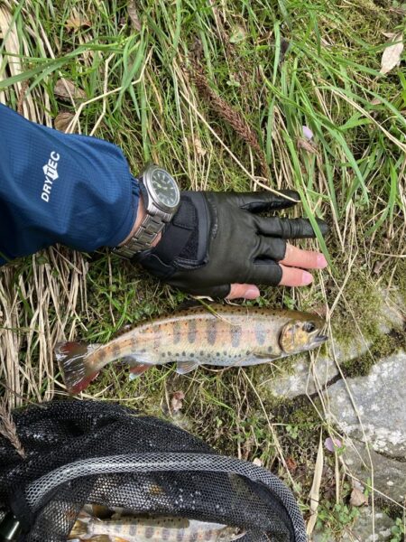 晴天無しでも釣果爆発