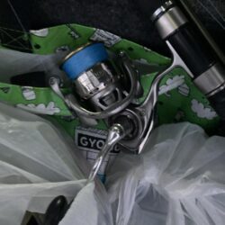 朝マズメのカマス調査で21匹GET