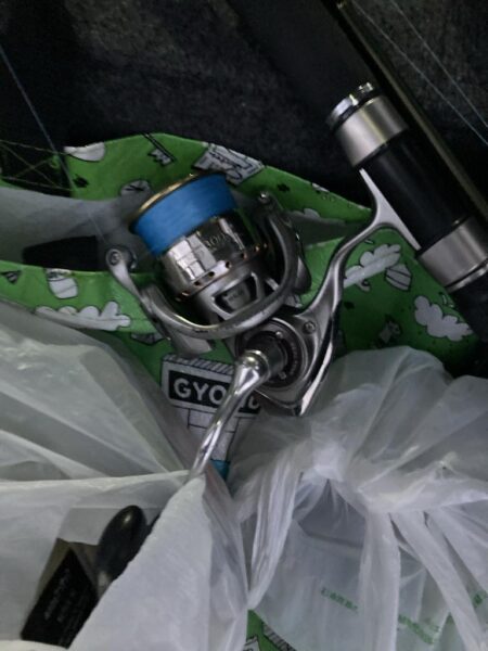 朝マズメのカマス調査で21匹GET