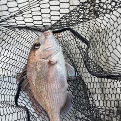 リールトラブルからの