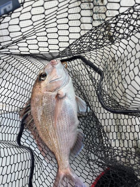 リールトラブルからの