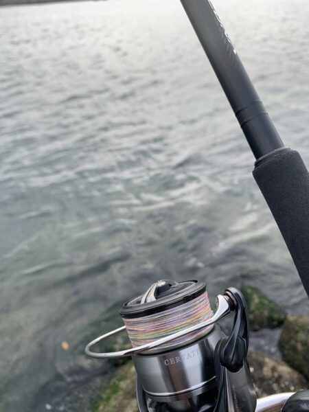 朝マヅメシーバス